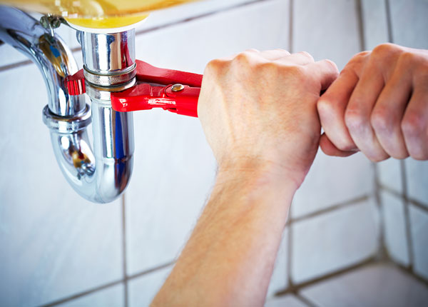 About Freeland Plumbers